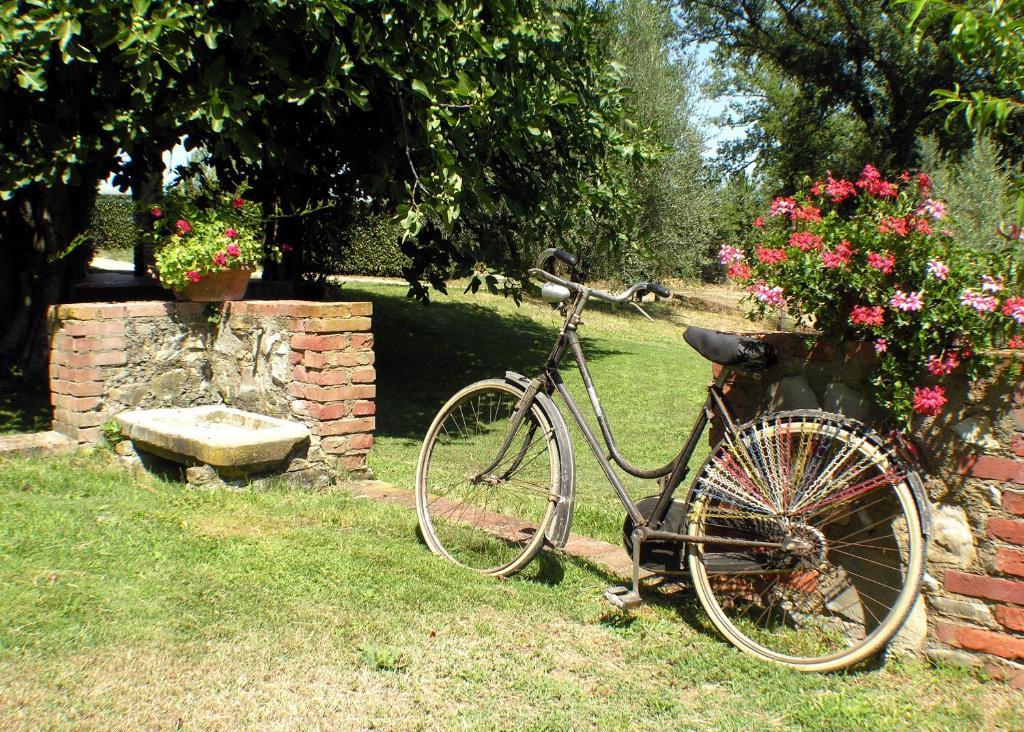 Agriturismo Il Sole Verde Bucine Eksteriør bilde