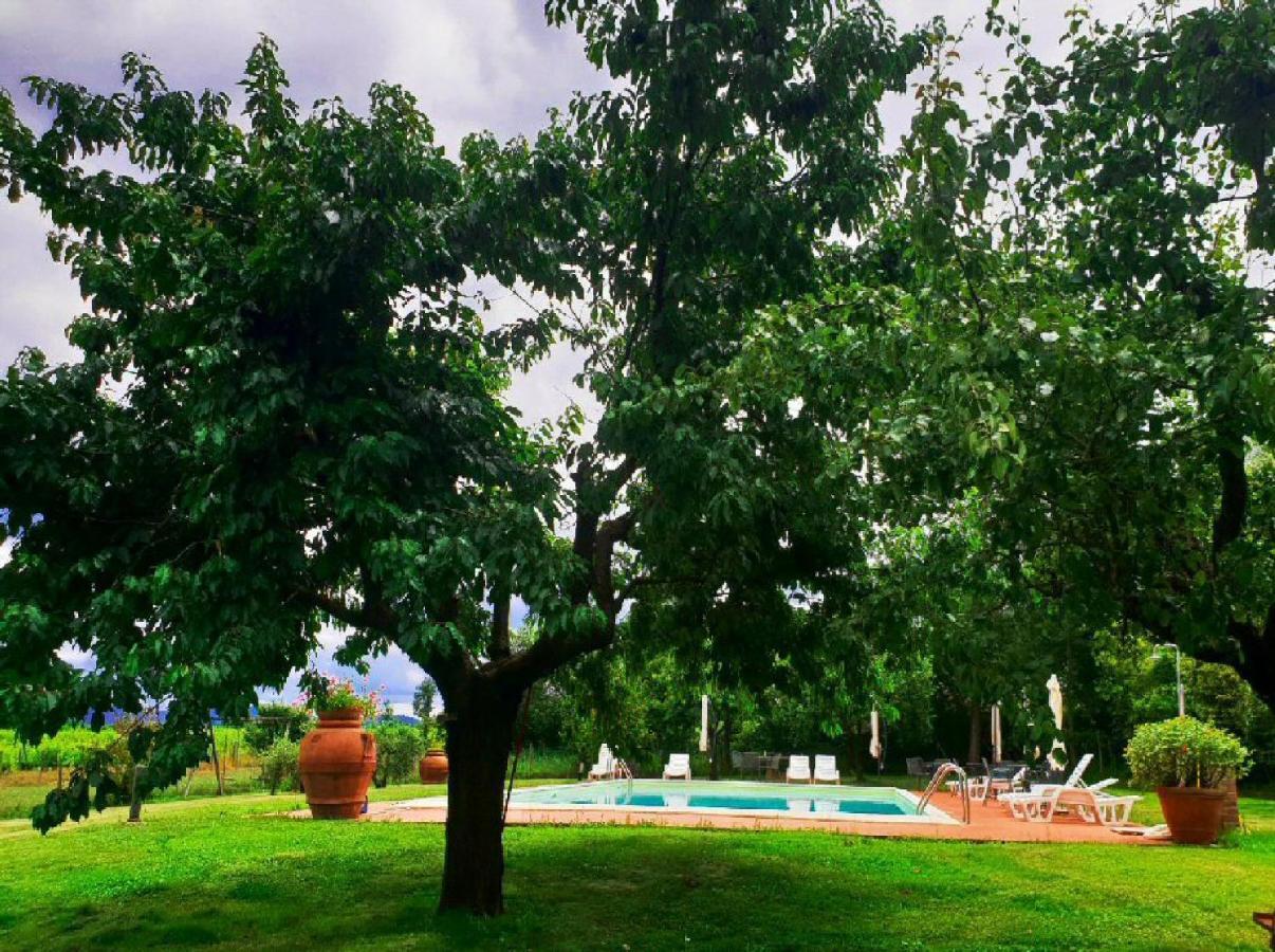 Agriturismo Il Sole Verde Bucine Eksteriør bilde